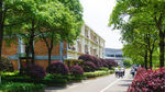 公园建筑