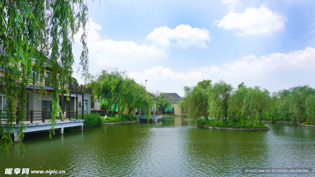 湖畔风景