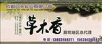 理疗宣传海报草木香
