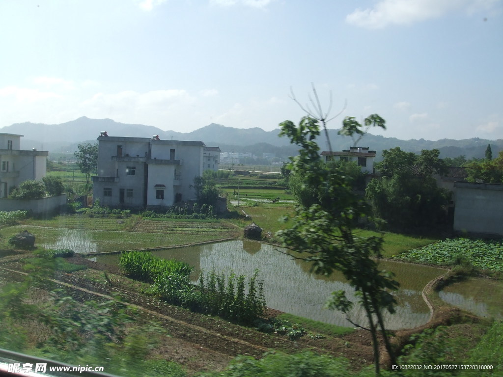 江南田园风光