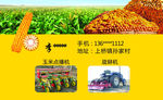 玉米 名片