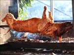 烤肉烤猪