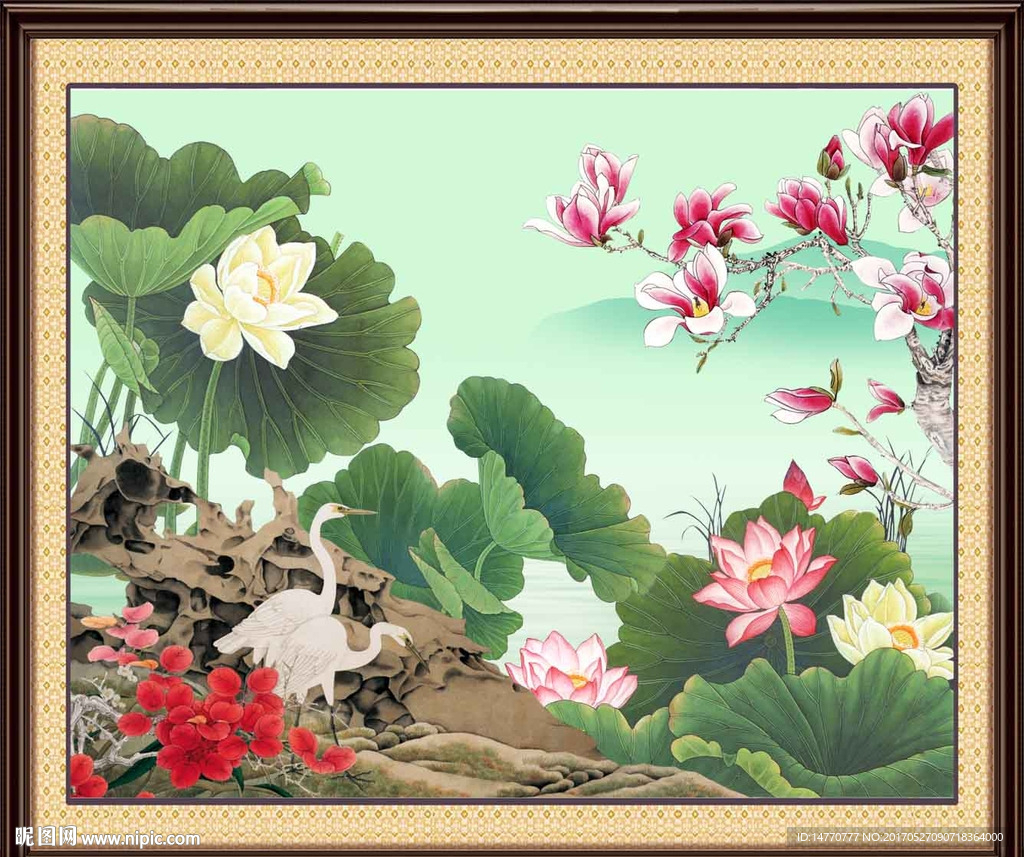荷花图