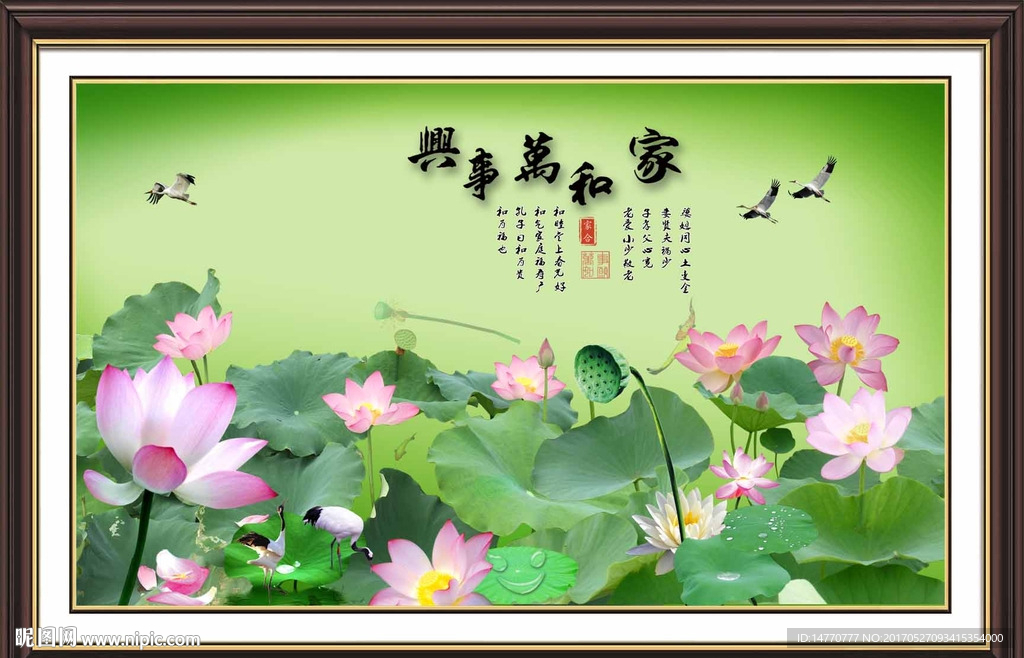 荷花图
