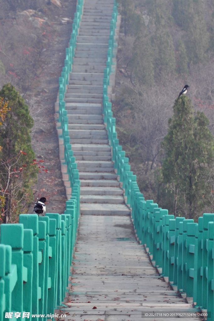 登山步道