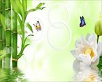 电视背景图