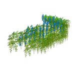 su植物素材  藤本攀爬