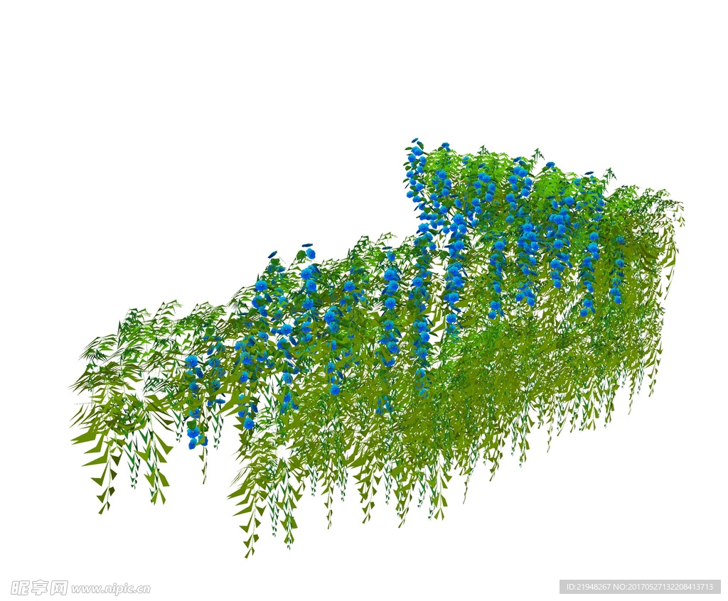 su植物素材  藤本攀爬