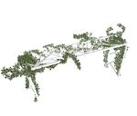 su植物素材  藤本攀爬