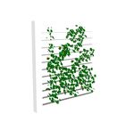 su植物素材  藤本攀爬