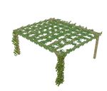 su植物素材  藤本攀爬
