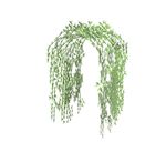 su植物素材  藤本攀爬