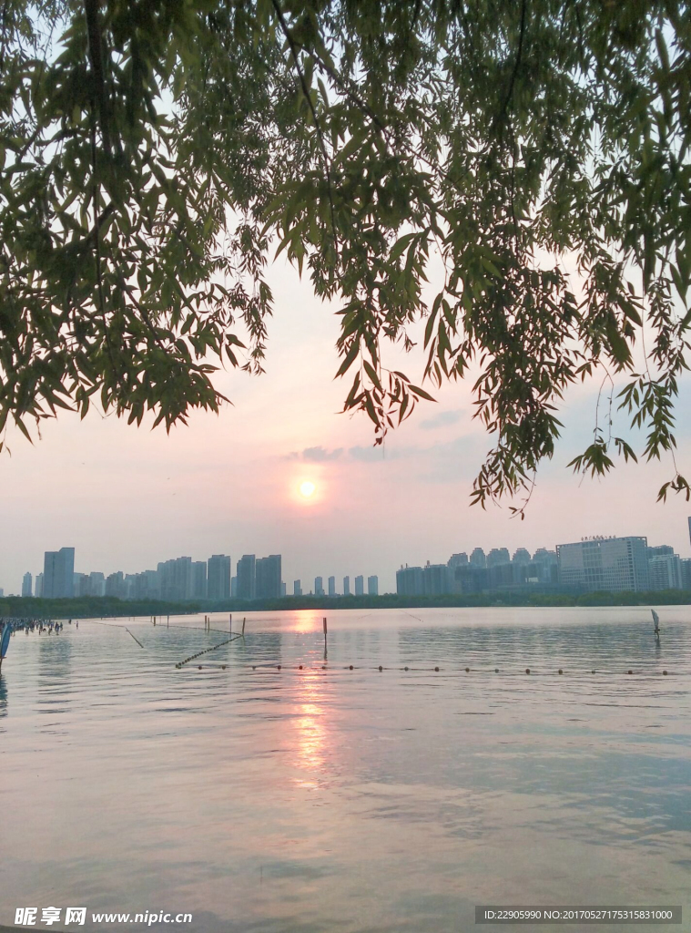 夕阳