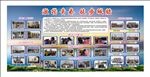 学生集体活动展板
