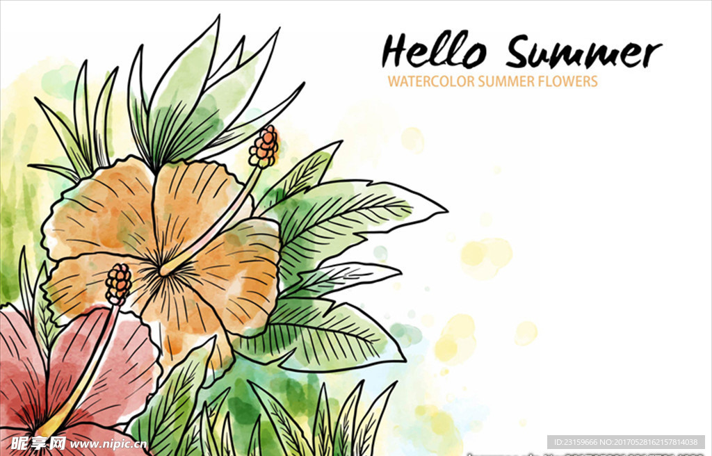 手绘水彩夏季热带花卉