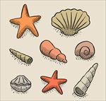 手绘夏日海洋海星贝壳