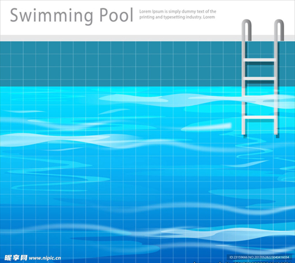 平面游泳池插图