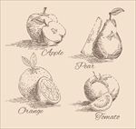 手绘素描四种水果