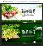 葡萄海报