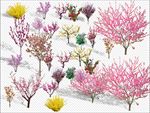 灌木花卉分层