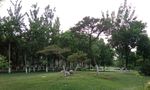 北宁公园
