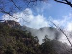 黄山美景