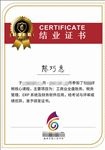结业毕业证书荣誉证书