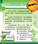 健康宣传栏海报