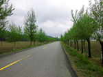 油漆路