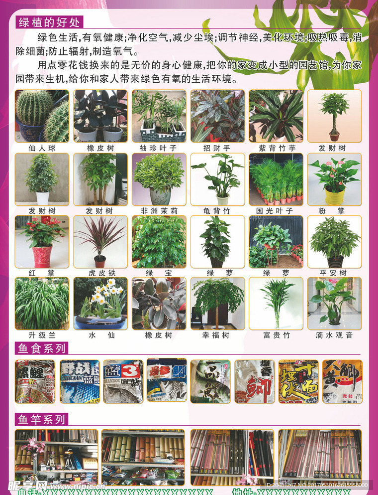 绿色植物彩页