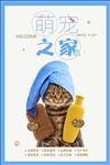 宠物店