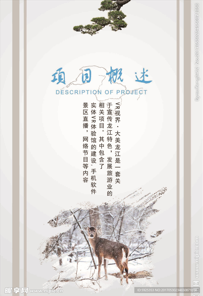 项目概述