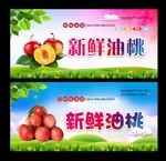 油桃