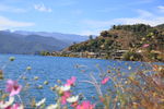 花香湖面