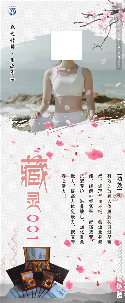 桃花 养生 SPA