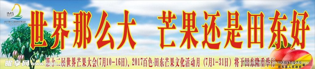 芒果大画