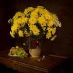 室内装饰 花儿
