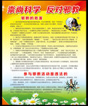 反邪教标语