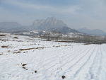 雪中少室山