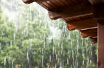 雨