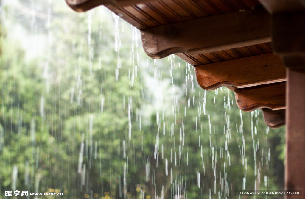 雨