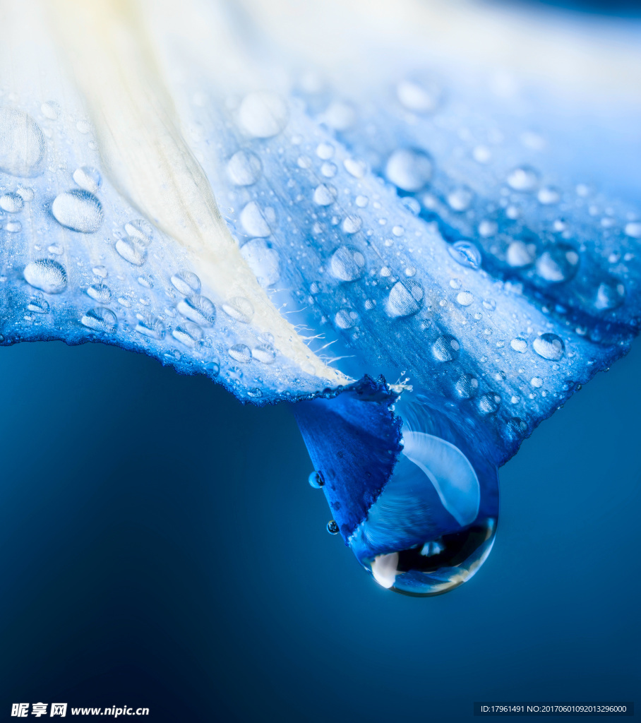 雨