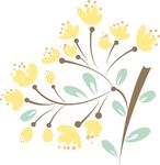 花卉