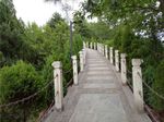 绿色风景