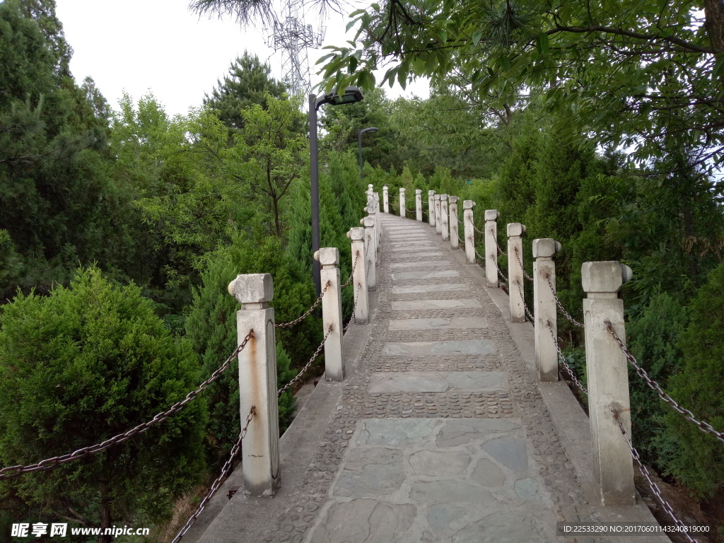 绿色风景