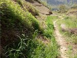 山间小路