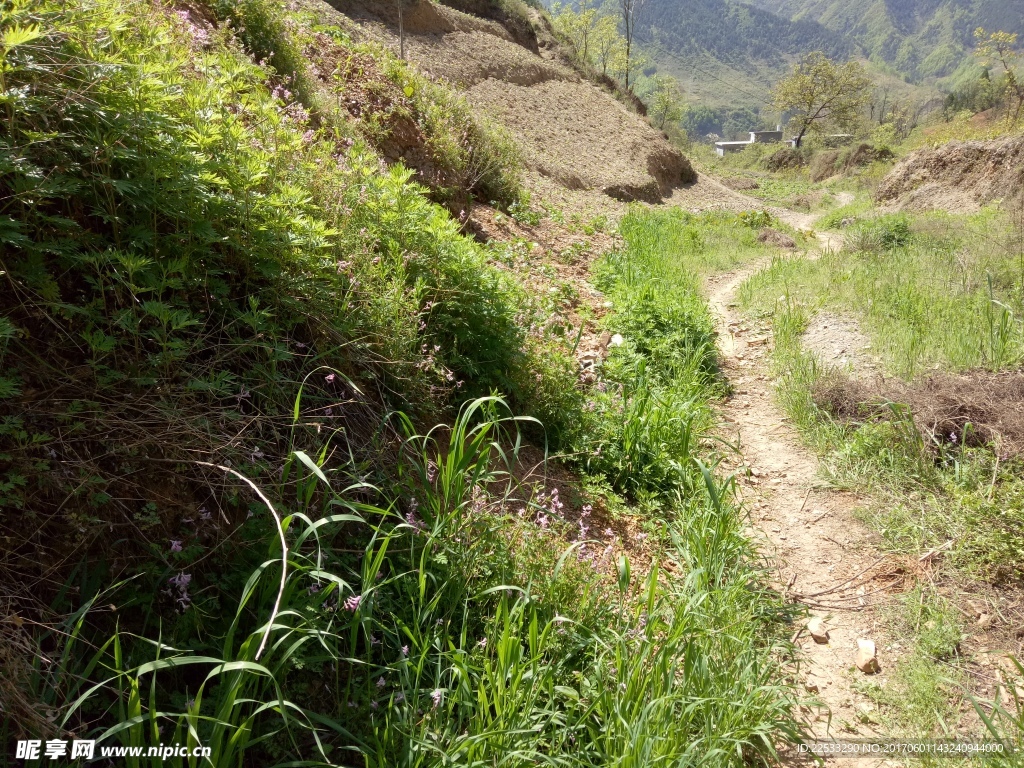 山间小路