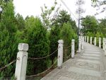 绿色风景