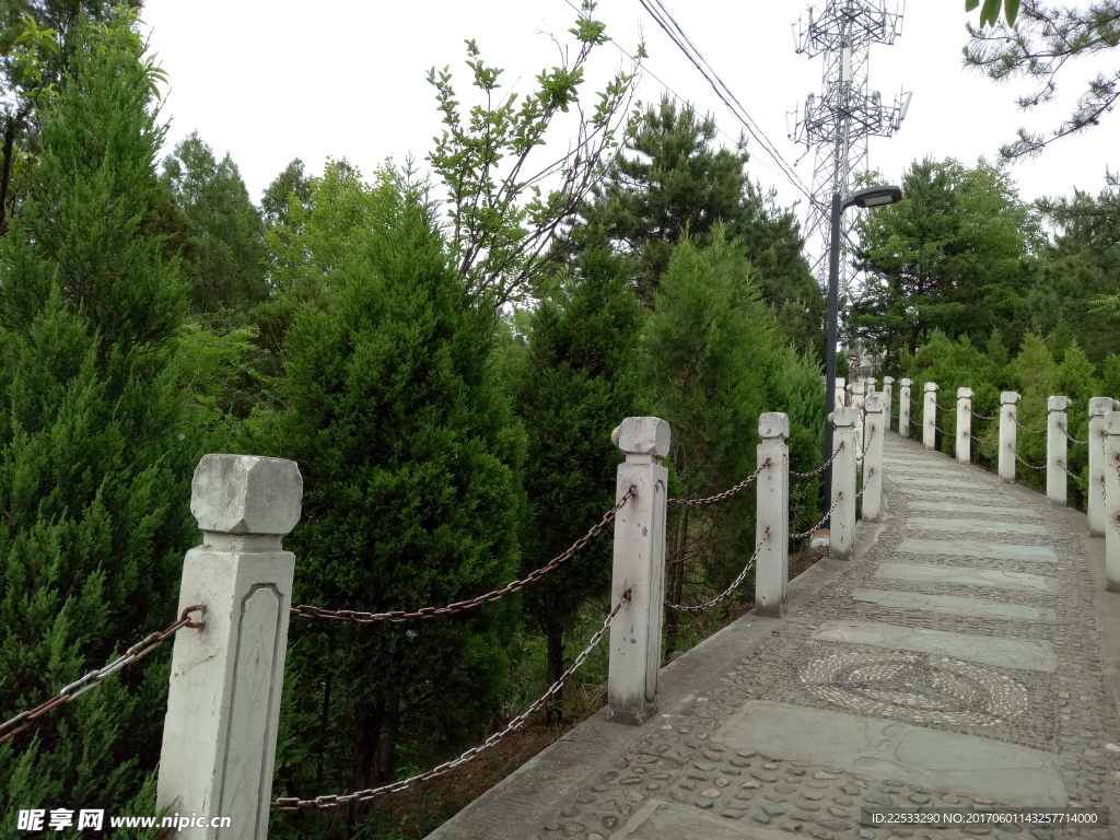 绿色风景