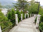 绿色风景